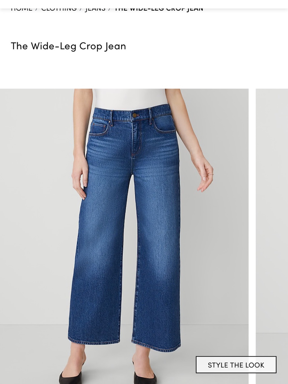 Ann Taylor Wide-Leg Crop Jeans - Denim Blue